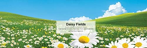 LITTLE TREES 076171673473 Daisy Fields Hanging Paper Tree for Home or Car, 6 Pack - Image 5
