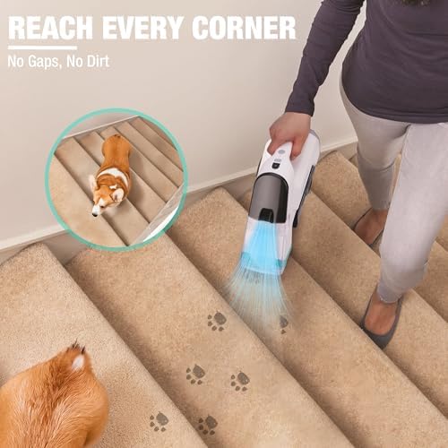 HAUSHOF 12V Cordless Handheld Carpet Cleaner, 6.5KPa Suction - Image 6