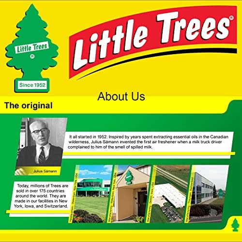 LITTLE TREES Car Air Freshener | Hanging Paper Tree for Home or Car | Royal Pine | 12 Pack - Image 6