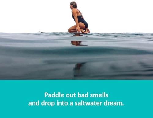ulu Lagoon Hanging Car Air Freshener | Tropical Beach Coconut Surf Wax Scent Mini Wave | Long Lasting Car Freshener, Closet and Beyond | Made In USA | 3 Pack (Retro) - Image 3