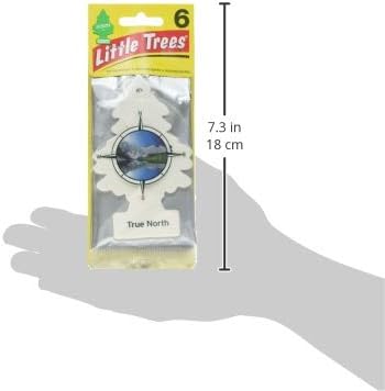 Little Trees Car Air Freshener 6-Pack (True North) - Image 3
