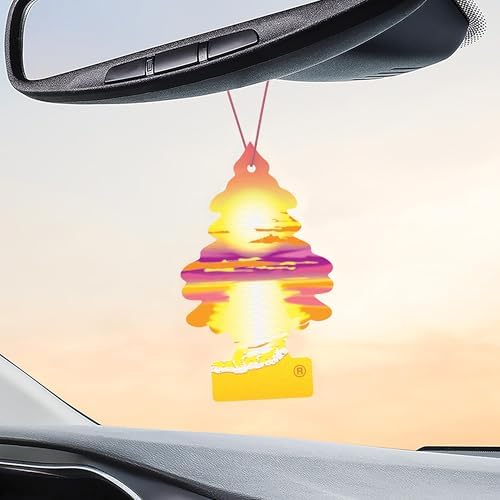 LITTLE TREES Car Air Freshener | Hanging Tree Provides Long Lasting Scent for Auto and Home | 24 Air Fresheners |Sunset Beach - Image 5