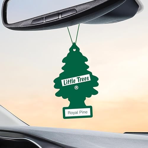 LITTLE TREES Car Air Freshener | Hanging Tree Provides Long Lasting Scent for Auto and Home | Royal Pine, 24 Air Fresheners - Image 5