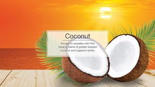 Little Trees Hanging Car and Home Air Freshener, Coconut Scent, 10 Pack - Image 4