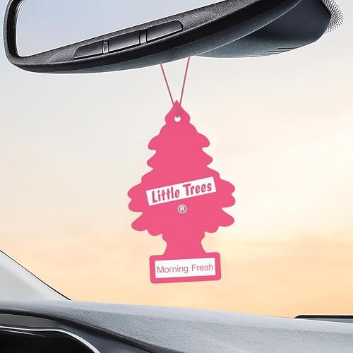 LITTLE TREES Car Air Freshener | Hanging Tree Provides Long Lasting Scent for Auto and Home | 24 Air Fresheners |Morning Fresh - Image 5