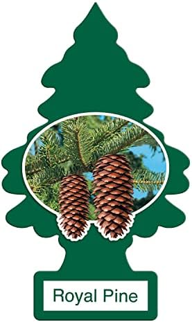 LITTLE TREES Car Air Freshener | Hanging Paper Tree for Home or Car | Royal Pine | 12 Pack by LITTLETREES