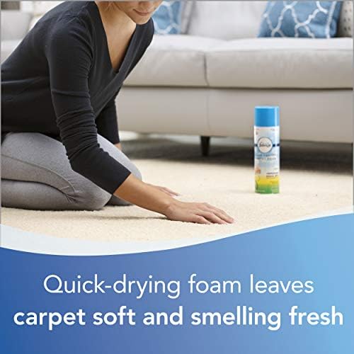 BISSELL Heavy Traffic Carpet Foam, Gain, 22oz (Pack of 4), 14399 - Image 7