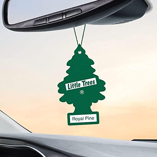 LITTLE TREES Car Air Freshener | Hanging Paper Tree for Home or Car | Royal Pine | 12 Pack - Image 4