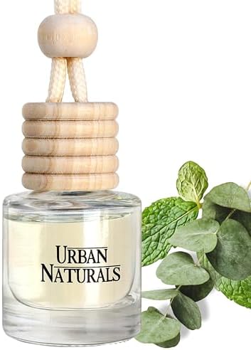 Urban Naturals Car Air Freshener Diffuser 1 Pack, Eucalyptus Spearmint by UrbanNaturals