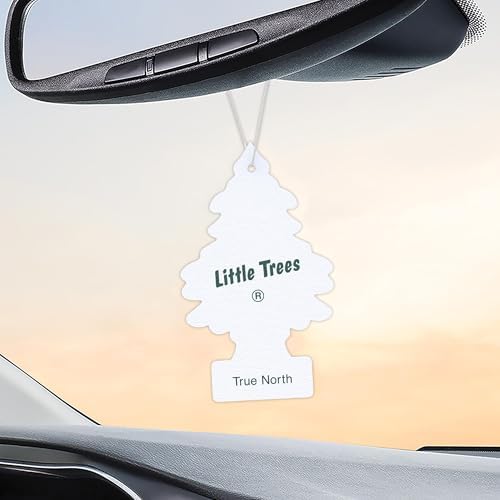 LITTLE TREES Car Air Freshener | Hanging Tree Provides Long Lasting Scent for Auto and Home | 24 Air Fresheners |True North - Image 5