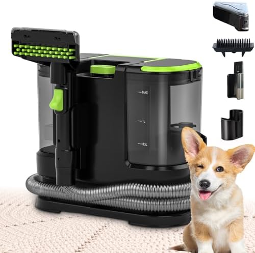 Portable Carpet & Upholstery Cleaner, Deep Cleaning for Rugs, Couch, Curtain, Car Interiors Stains, Pet & Family Friendly, 21 Kpa suction with 800W high-performance motor, 120V (Green) by HOMLOVEHOME