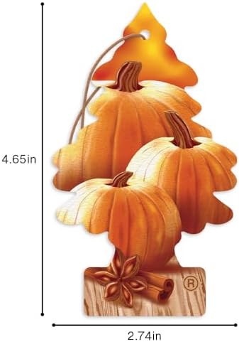LITTLE TREES Car Air Freshener | Hanging Tree Provides Long Lasting Scent for Auto and Home | Warm Pumpkin Spice, 24 Air Fresheners - Image 6