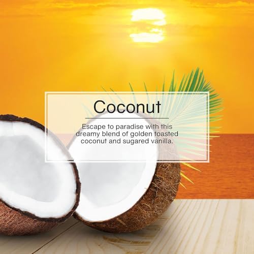 LITTLE TREES Car Air Freshener | Xtra Strength Provides Long-Lasting Scent for Auto or Home | Extra Boost of Fragrance | Coconut, 24 Air Fresheners - Image 5