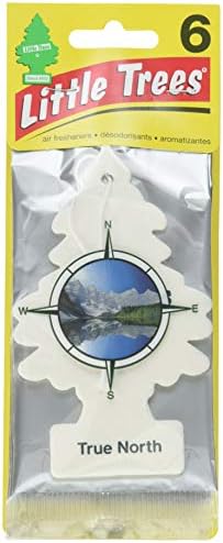 Little Trees Car Air Freshener 6-Pack (True North) by LITTLETREES
