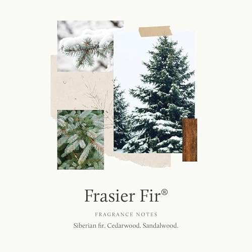 Thymes Frasier Fir Car Diffuser Refills - Includes 4 Car Air Freshener Diffuser Reeds - Long-Lasting Air Freshener (Refills Only) - Image 3