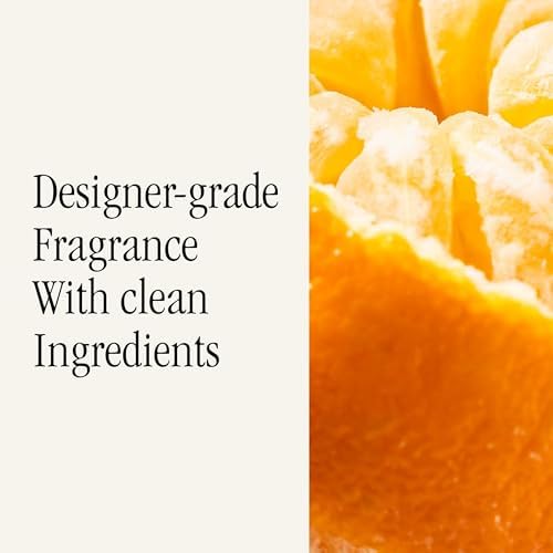Pura Car Scent Refill, Citrus & Cream - Image 4