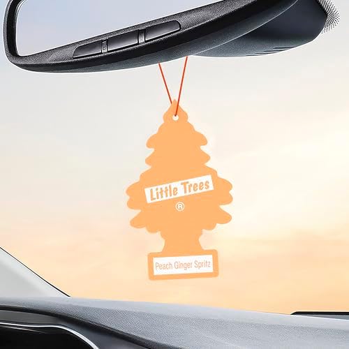 LITTLE TREES Car Air Freshener | Hanging Tree Provides Long Lasting Scent for Auto and Home | 24 Air Fresheners |Peach Ginger Spritz - Image 5