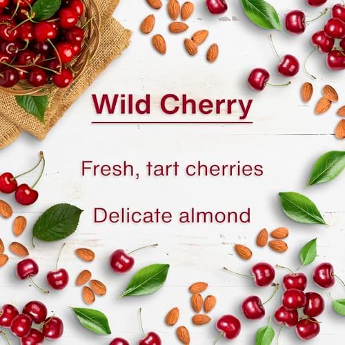 LITTLE TREES Car Air Freshener | Hanging Tree Provides Long Lasting Scent for Auto and Home | 24 Air Fresheners |Wild Cherry - Image 4