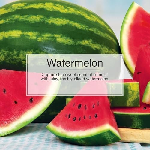 LITTLE TREES Car Air Freshener | Hanging Paper Tree for Home or Car | Watermelon Scent | 6 Pack - Image 5