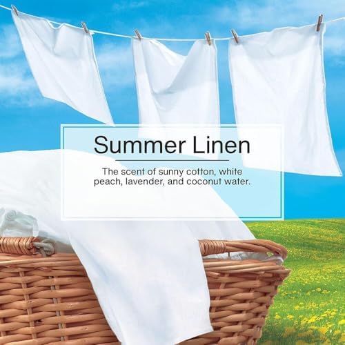 LITTLE TREES Car Air Freshener | Hanging Paper Tree for Home or Car | Summer Linen | 6 Pack - Image 5