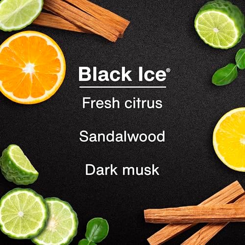 LITTLE TREES Car Air Freshener | Hanging Tree Provides Long Lasting Scent for Auto and Home | Black Ice, 24 Air Fresheners - Image 4