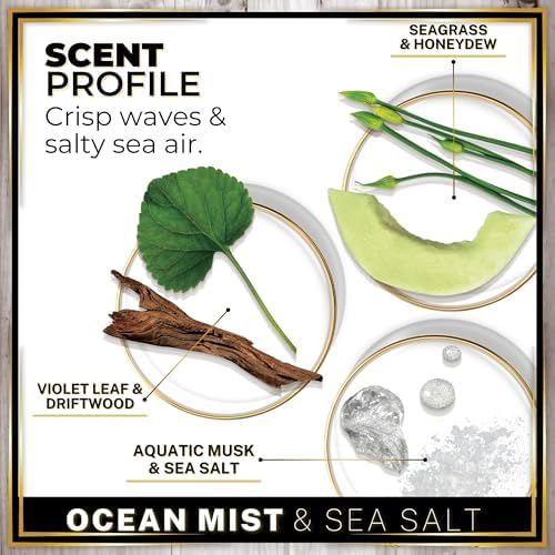 Urban Naturals Car Air Freshener Diffuser 1 Pack, Ocean Mist & Sea Salt - Image 5