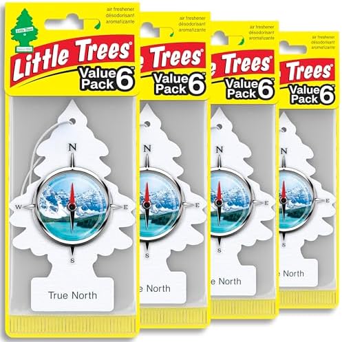 LITTLE TREES Car Air Freshener | Hanging Tree Provides Long Lasting Scent for Auto and Home | 24 Air Fresheners |True North by LITTLETREES