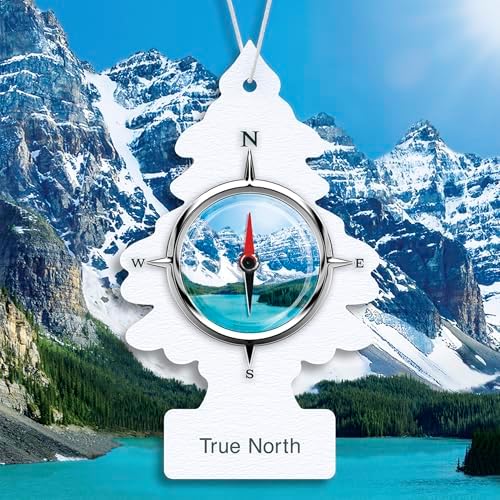 LITTLE TREES Car Air Freshener | Hanging Tree Provides Long Lasting Scent for Auto and Home | 24 Air Fresheners |True North - Image 3