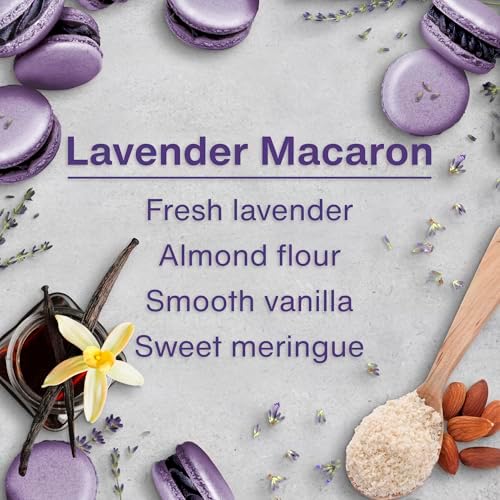 LITTLE TREES Car Air Freshener | Hanging Tree Provides Long Lasting Scent for Auto and Home | 24 Air Fresheners |Lavender Macaron - Image 4
