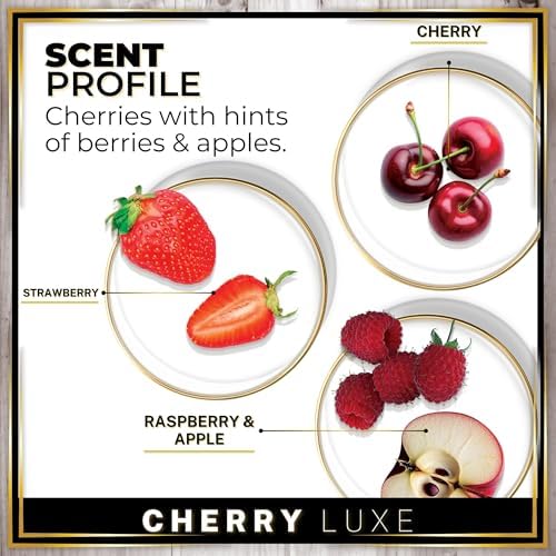 Urban Naturals Car Air Freshener Diffuser 1 Pack, Cherry Luxe Scent - Image 4