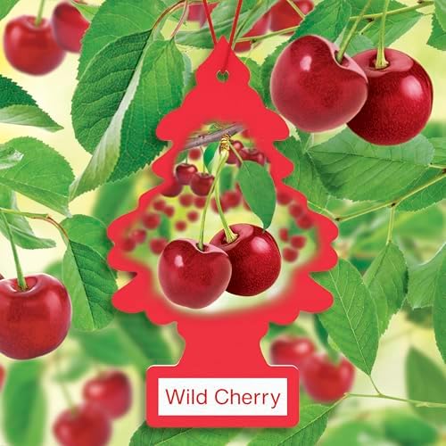 LITTLE TREES Car Air Freshener | Hanging Tree Provides Long Lasting Scent for Auto and Home | 24 Air Fresheners |Wild Cherry - Image 3
