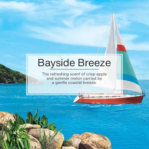 Little Trees Cardboard Hanging Car, Home & Office Air Freshener, Bayside Breeze (Pack of 6) - Image 5