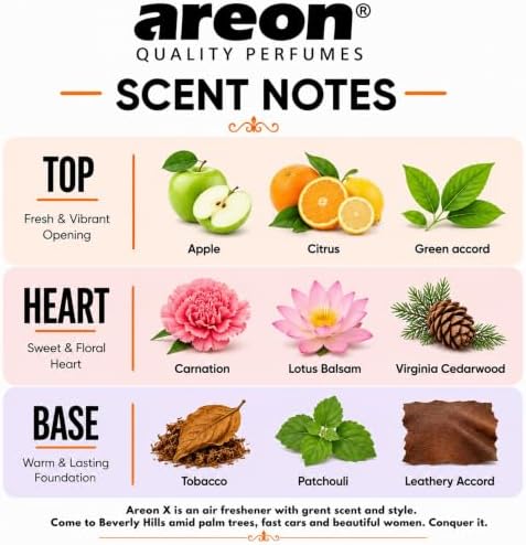 AREON MON Leather Interior Scent Hanging Car Air Freshener Pack of 12 - Image 3