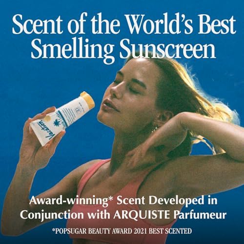 Vacation Car Air Freshener 3-Pack, Classic Scent - Image 3