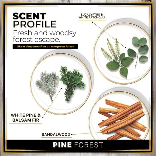 Urban Naturals Car Air Freshener Pine Forest Scent Diffuser, Long Lasting Car Fresheners Made in USA, Odor Eliminating Technology, Hanging Auto Accessories + Vent Clip (3 Pack) - Image 4