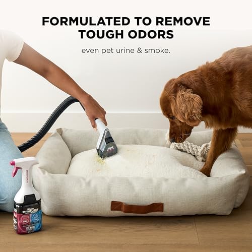 Shark EveryMess 3-in-1 Wet/Dry Vac & Stain Eliminator, 4 Tools VX101 - Image 4