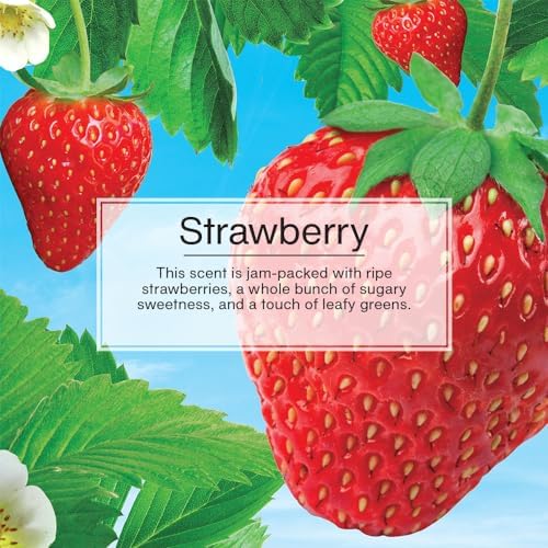 LITTLE TREES Car Air Freshener | Xtra Strength Provides Long-Lasting Scent for Auto or Home | Extra Boost of Fragrance | Strawberry, 24 Air Fresheners - Image 4