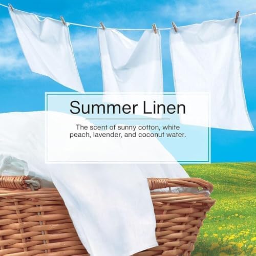 LITTLE TREES Car Air Freshener | Hanging Paper Tree for Home or Car | Summer Linen - Image 4