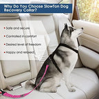 SlowTon Dog Car Seat Belt, 3 in 1 Latch Bar Attachment Dog Safety Seatbelt | Hook Latch Bar& Seatbelt Buckle, Reflective, Heavy Duty Nylon, Durability, Easy of Use, for Travel Riding,FL Pink,27.5" - Image 5