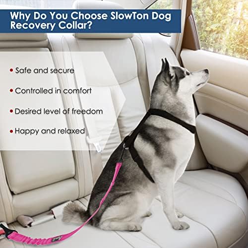 SlowTon Dog Car Seat Belt, 3 in 1 Latch Bar Attachment Dog Safety Seatbelt | Hook Latch Bar& Seatbelt Buckle, Reflective, Heavy Duty Nylon, Durability, Easy of Use, for Travel Riding,FL Pink,27.5" - Image 5