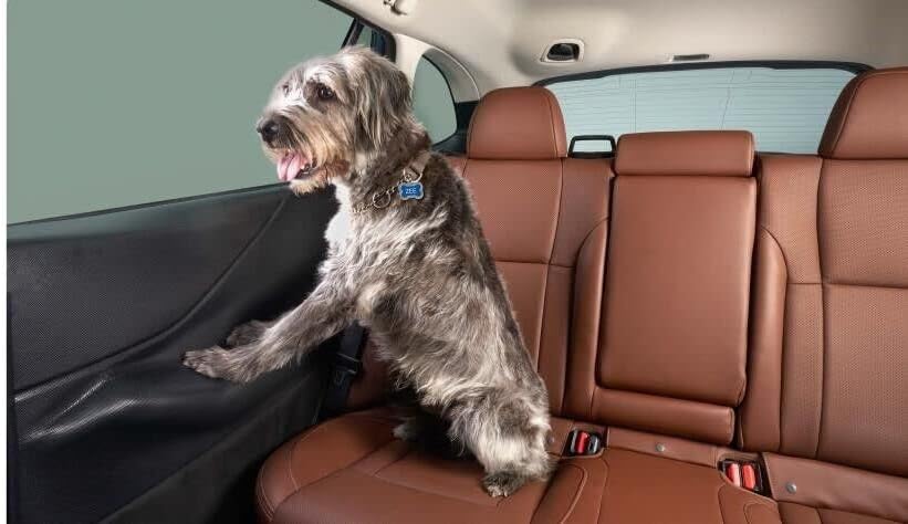 Subaru 2020-2025 Outback Pet Rear Door Protector SOA567R000 Genuine OEM Factory by Subaru