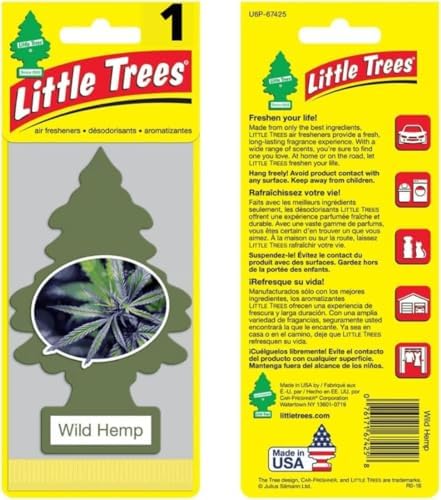 Little Trees Car Air Freshener | Hanging Paper Tree for Home or Car | Wild Hemp | 1 Pack by LITTLETREES