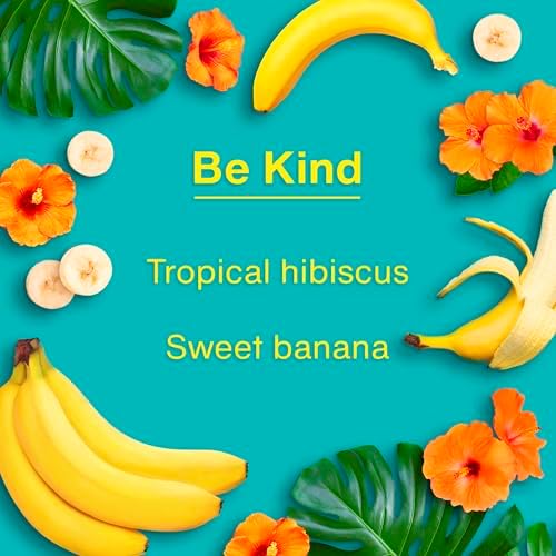 LITTLE TREES Car Air Freshener | Hanging Tree Provides Long Lasting Scent for Auto and Home | 24 Air Fresheners |Be Kind - Image 4