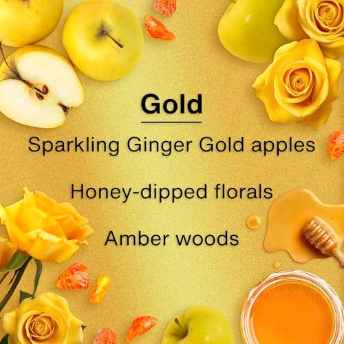 LITTLE TREES Car Air Freshener | Hanging Tree Provides Long Lasting Scent for Auto and Home | 24 Air Fresheners |Gold - Image 4