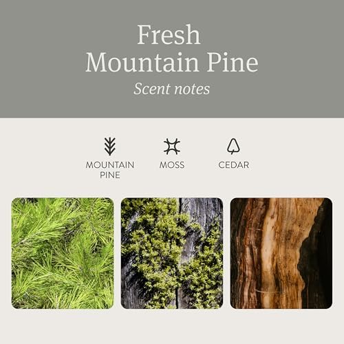 Drift Car Air Freshener - The Original Stone Air Freshener - Car Odor Eliminator - Long Lasting Scent - Essential Oils - Clean Ingredients - Pine Scent 3 Pack Refill - NO CLIP INCLUDED - Image 4