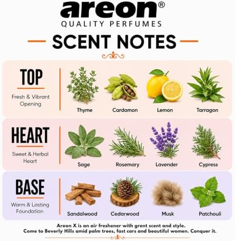 AREON MON MA27 Hanging Best Car Air Freshener New Car Scent, Paper Hanging Ornaments, Long Lasting Scent for Car or Home 12 Pack - Image 3
