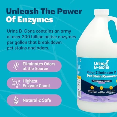 Urine B-Gone Enzyme Cleaner for Human, Cat & Dog Urine, Lavender, 1 Gallon - Image 6