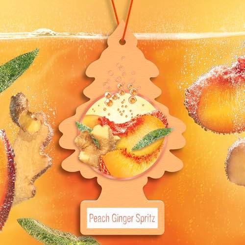 LITTLE TREES Car Air Freshener | Hanging Tree Provides Long Lasting Scent for Auto and Home | 24 Air Fresheners |Peach Ginger Spritz - Image 3