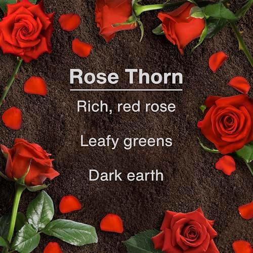 LITTLE TREES Car Air Freshener | Hanging Tree Provides Long Lasting Scent for Auto and Home | 24 Air Fresheners |Rose Thorn - Image 4