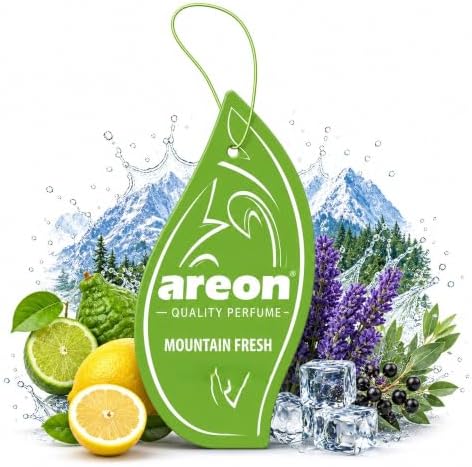 AREON MON MA17 Long Lasting Hanging Best Car Air Freshener Mountain Fresh Scent, 12 pack by AREON